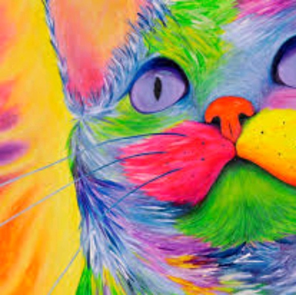 Meet your Posher, Brittany - Picture 1 of 1